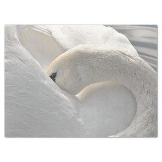 Artistic Swan Decoupage Tissue Paper