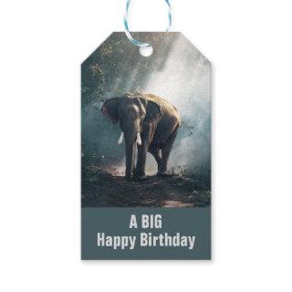 Asian Elephant in a Sunlit Forest Birthday Gift Tags