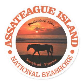 Assateague Island National Seashore Classic Round Sticker