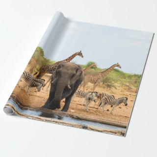 At the waterhole