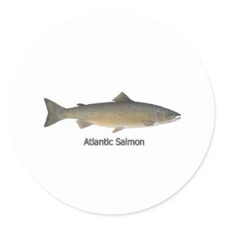Atlantic Salmon (titled) Classic Round Sticker