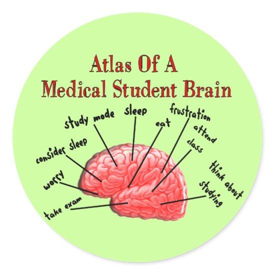 Atlas of Medical Student Brain Classic Round Sticker