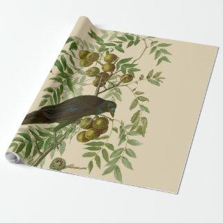 Audubon American Crow Black Bird