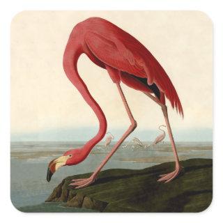 Audubon American Flamingo Square Sticker