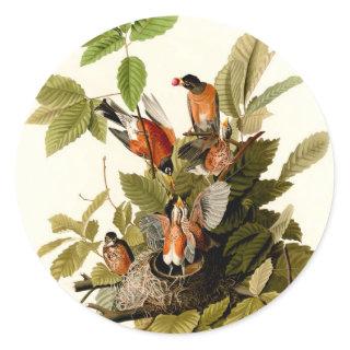 Audubon American Robin Wildlife Bird Illustration Classic Round Sticker