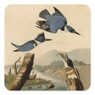 Audubon Belted Kingfisher Wildlife Bird Square Sticker