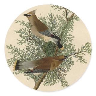 Audubon Cedar Waxwing Bird Classic Round Sticker