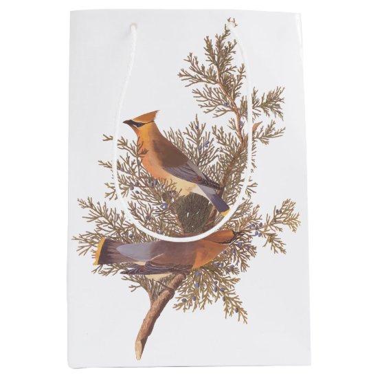 Audubon Cedar Waxwing Songbirds in Juniper Medium Gift Bag