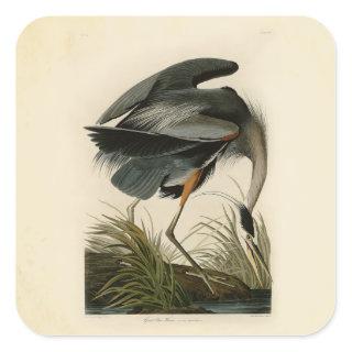 Audubon Great Blue Heron Marsh Bird Square Sticker
