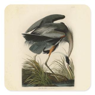 Audubon Great Blue Heron Marsh Bird Square Sticker