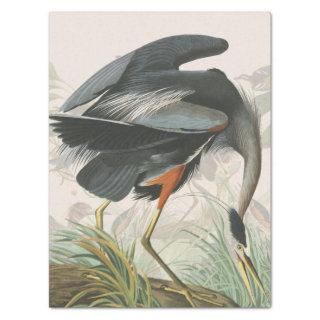 Audubon Heron Birds Wildlife Animal Tissue Paper