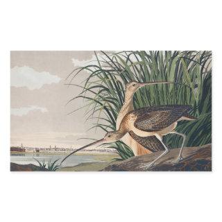 Audubon Long-Billed Curlew Bird Rectangular Sticker