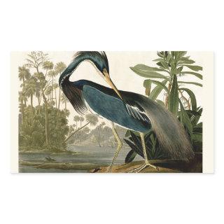 Audubon Louisiana Heron Birds America Art Rectangular Sticker