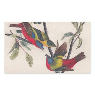 Audubon Painted Bunting Bird Wildlife Rectangular Sticker
