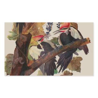 Audubon Pileated Woodpecker Bird Painting Rectangular Sticker