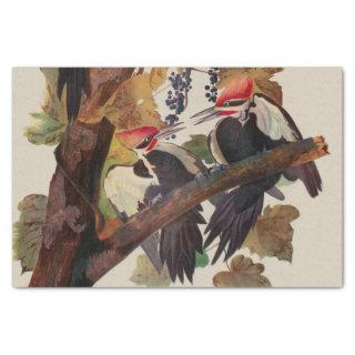 Audubon Pileated Woodpecker Bird Painting Tissue Paper