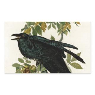 Audubon Raven Bird Classic Artwork Rectangular Sticker