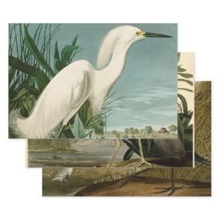 Audubon Snowy Heron White Egret Bird Birding  Sheets