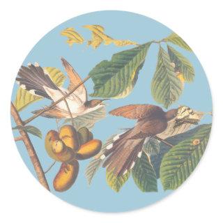 Audubon Yellow Billed Cuckoo Classic Round Sticker