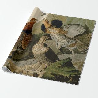 Audubon's Painting of a trio of Ruffed Grouse