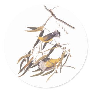 Audubon's Yellow Prothonotary Warbler Bird Pair Classic Round Sticker