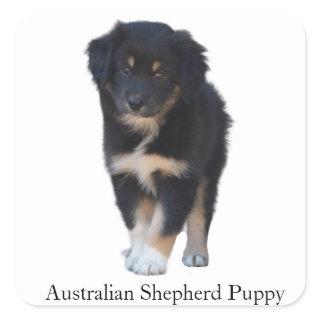 Australian Shepherd (Aussie) Puppy Breed Sticker