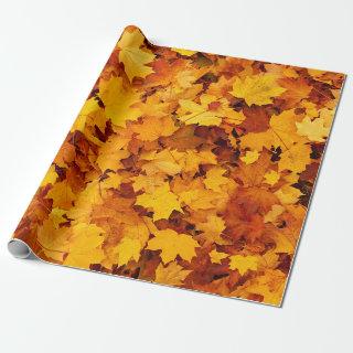 Autumn Maple Leaves