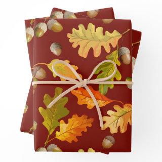 Autumn Oak Leaves and Acorns Nature  Sheets
