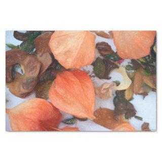 Autumn Orange Chinese Lanterns Plant Tissue Paper