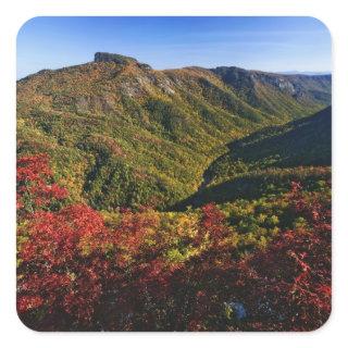 Autumn view of Linville Gorge often called the Square Sticker
