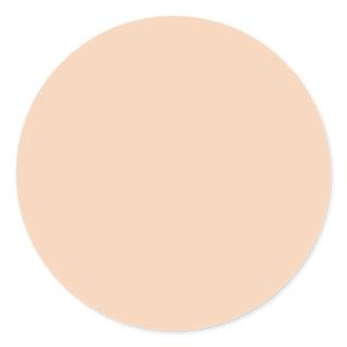 Autumn Winter Color Tender Peach Classic Round Sticker