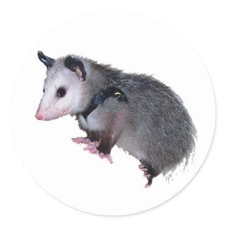 Awesome Possum Opossum Classic Round Sticker