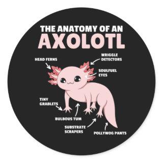 Axolotl Explanation Anatomy Of An Axolotl Classic Round Sticker