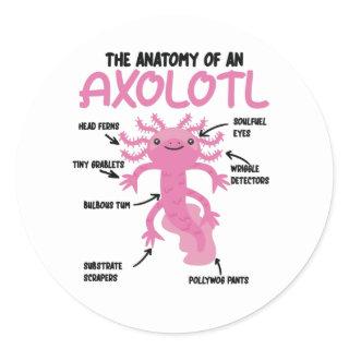 Axolotl Explanation Anatomy Of An Axolotl Classic Round Sticker