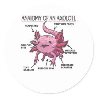 Axolotl Explanation Anatomy Of An Axolotl Classic Round Sticker