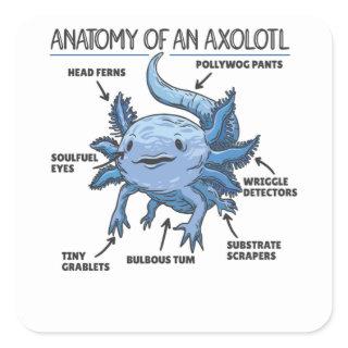 Axolotl Explanation Anatomy Of An Axolotl Square Sticker