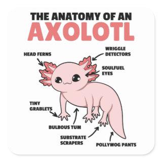 Axolotl Explanation Anatomy Of An Axolotl Square Sticker