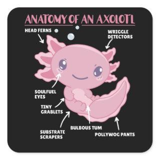 Axolotl Explanation Anatomy Of An Axolotl Square Sticker