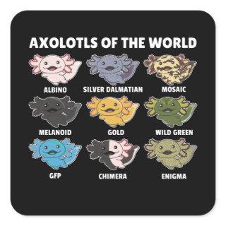 Axolotls From The World Sweet Animals Axolotl Squa Square Sticker
