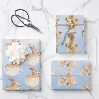 Baby Bunnies Play Time  Sheets