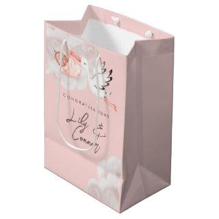 Baby Girl Shower Gift Bag