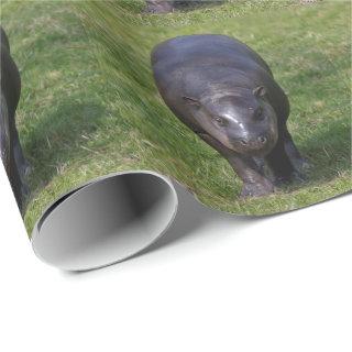 Baby Hippo