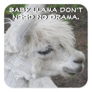 Baby Llama Don't Need No Drama Sticker