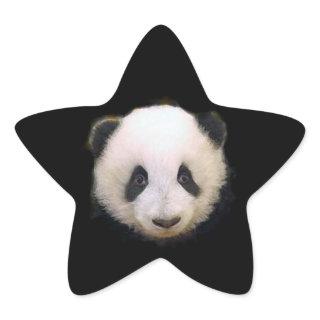 Baby Panda Star Sticker