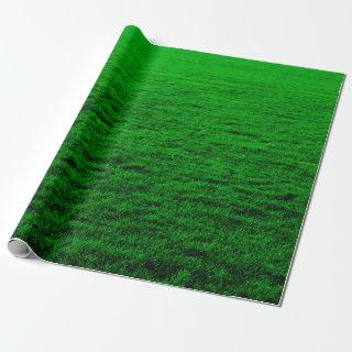 Background green grass lawn