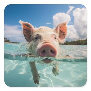 Bahamas Swimming Pig Square Sticker