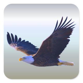 Bald Eagle Flying Square Sticker