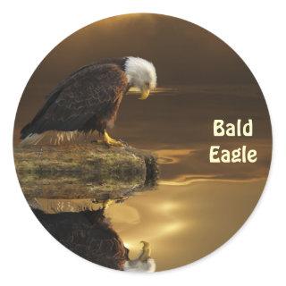 Bald Eagle GRATITUDE Wildlife Photography Classic Round Sticker