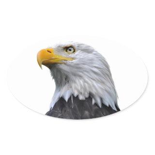 Bald Eagle Oval Sticker