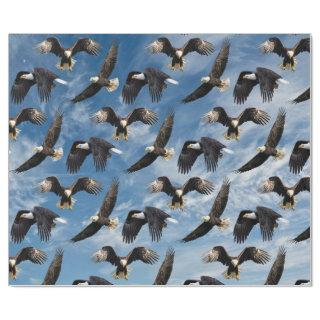 Bald Eagle Soaring
